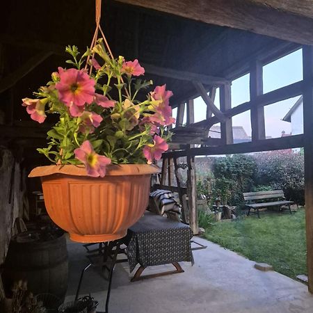 Appartamento A La Forge Sermersheim Esterno foto