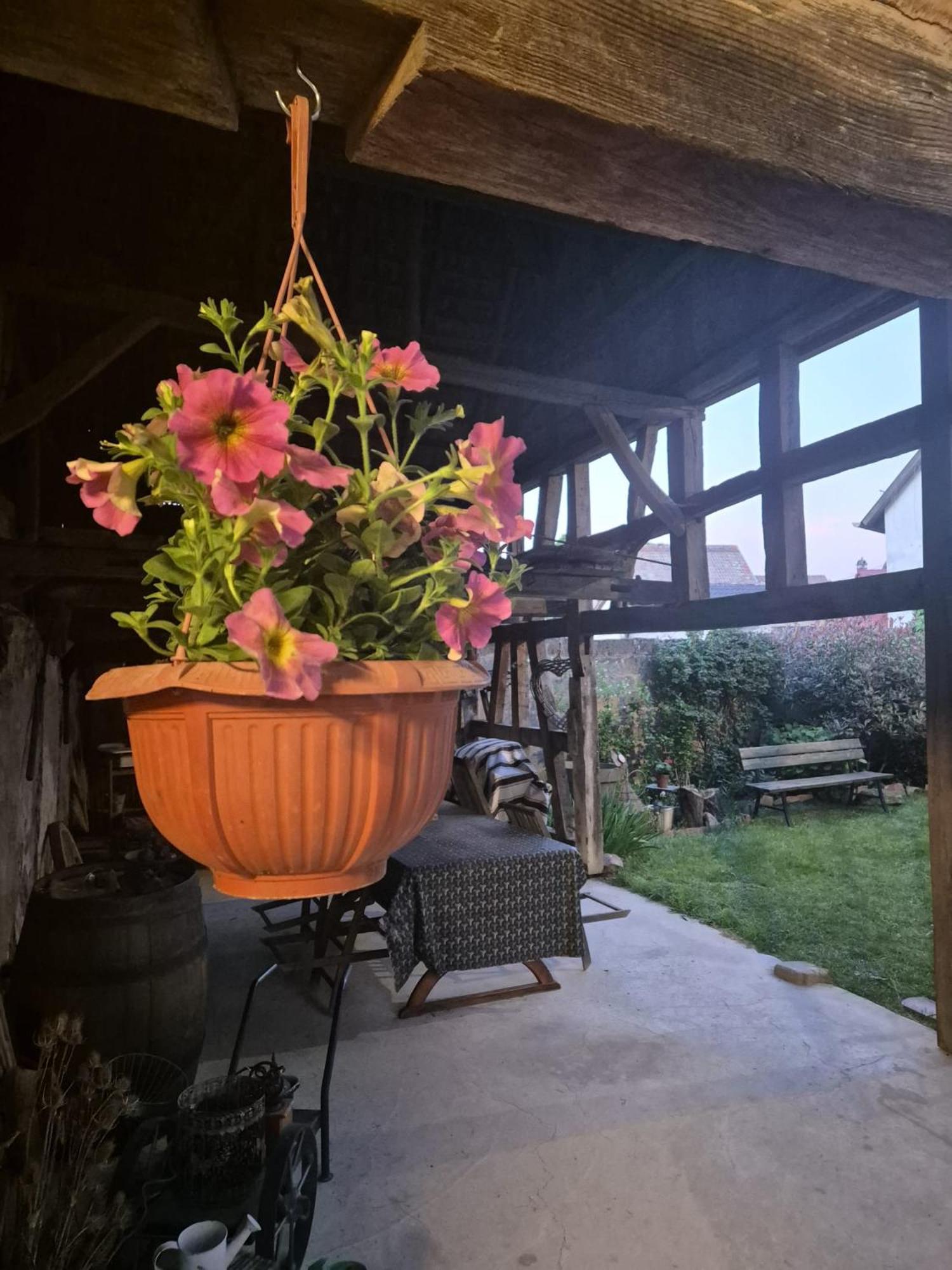 Appartamento A La Forge Sermersheim Esterno foto